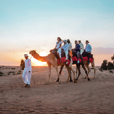 VIP Desert Safari in Dubai - Shared Vehicle, , small